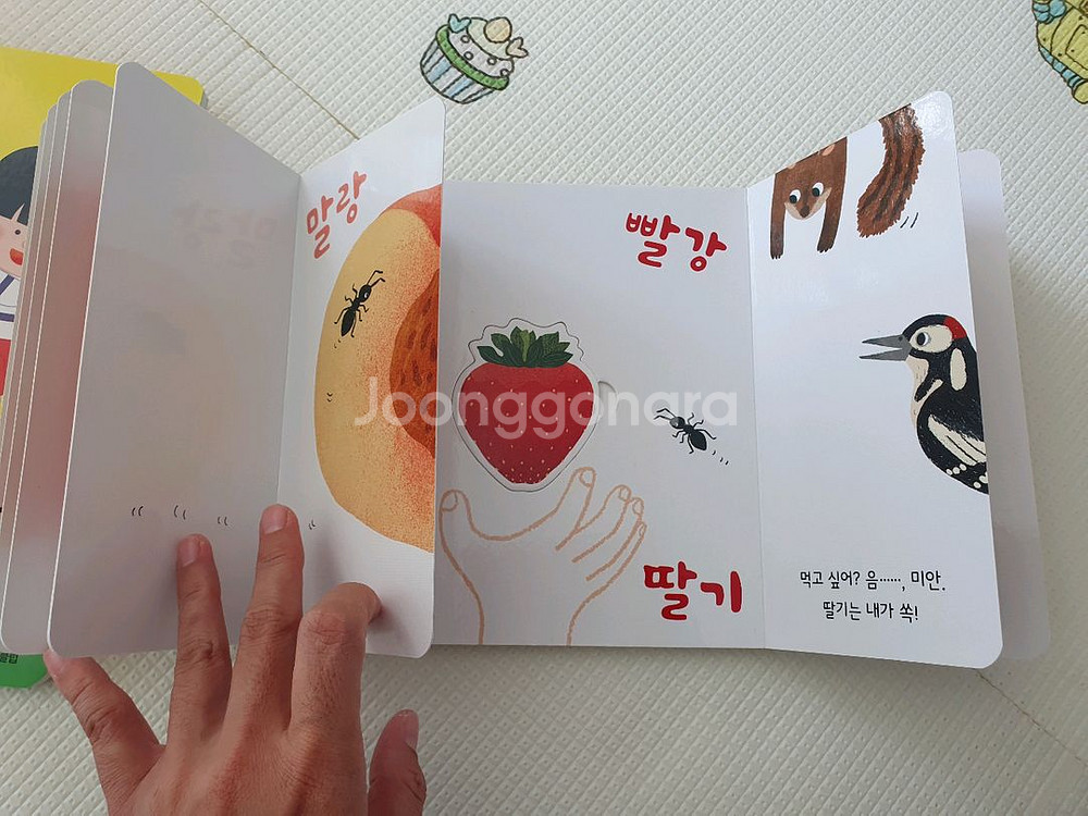 웅진 오브레인 수과학 20권 전권 택포--1