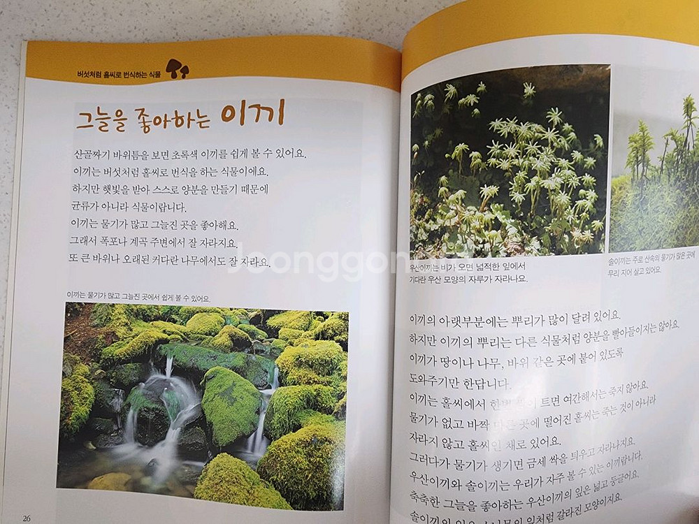 기탄교육 자연관찰 페이퍼북 슬림북 택포 18,000원--2