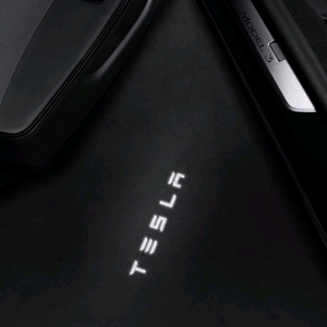 테슬라 정품 프로젝션 라이트, 공홈배송