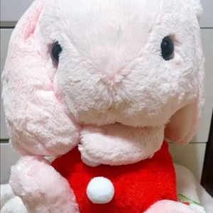 일본정품-어뮤즈 롯삐 인형 빅사이즈