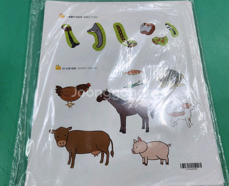 내친구 과학공룡(최신개정판)상태 최고!!최고!!--3