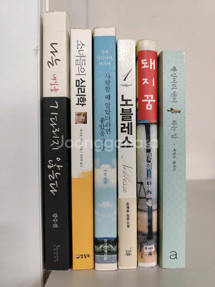 책 도서 소녀들의 심리학 빨강머리 앤이 하는 말 등--0
