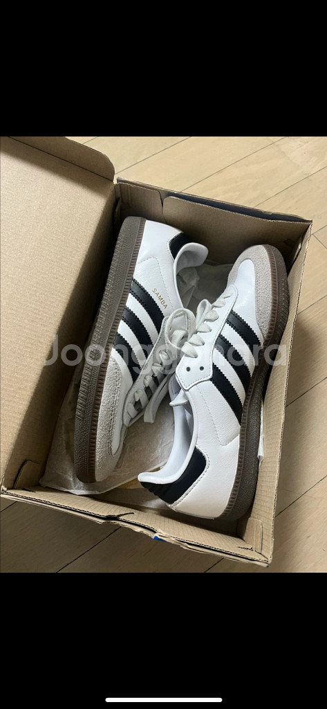 아디다스 삼바 og 화이트 235--0