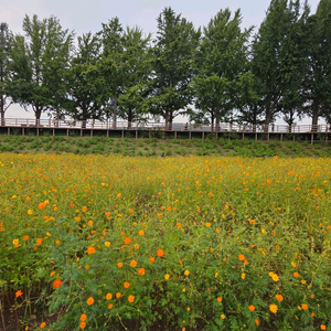 아쿠아필드 하남,고양,안성 찜질스파 대인 2인 입장권