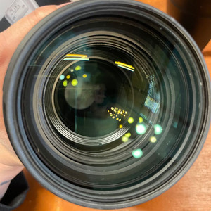 캐논 EF70-200 F2.8 III USM 새새아빠