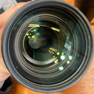 캐논 EF70-200 F2.8 III USM 새새아빠