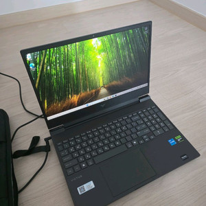 HP 빅터스15 게이밍노트북 13세대 , RTX3050