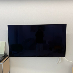 LG OLED65A2HNA 65인치 올레드 TV