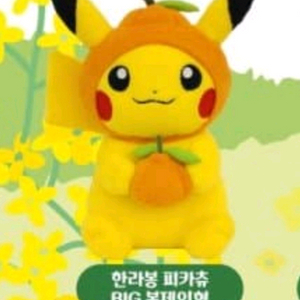 제주 x 포켓몬-한라봉 피카츄 BIG 봉제인형