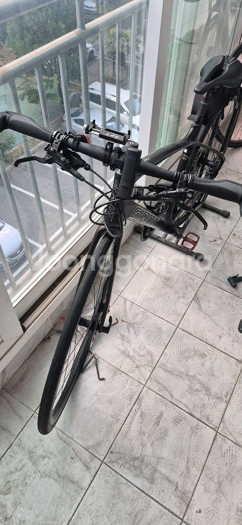 2021 자이언트패스트로드어드밴스1--5