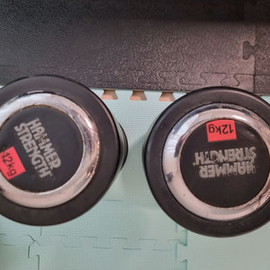 12kg 덤벨 한쌍 팝니다(해머스트렝스)