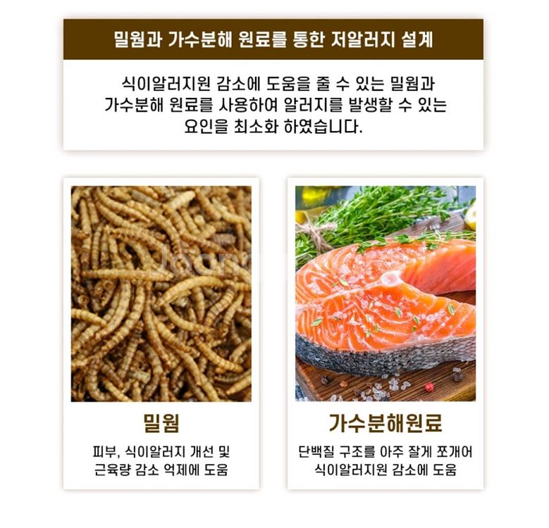 더텐 오븐베이크 올인원 알러지케어&시니어 2.7kg--3