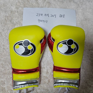 그랜트복싱글러브 12온스 거의새제품 팝니다