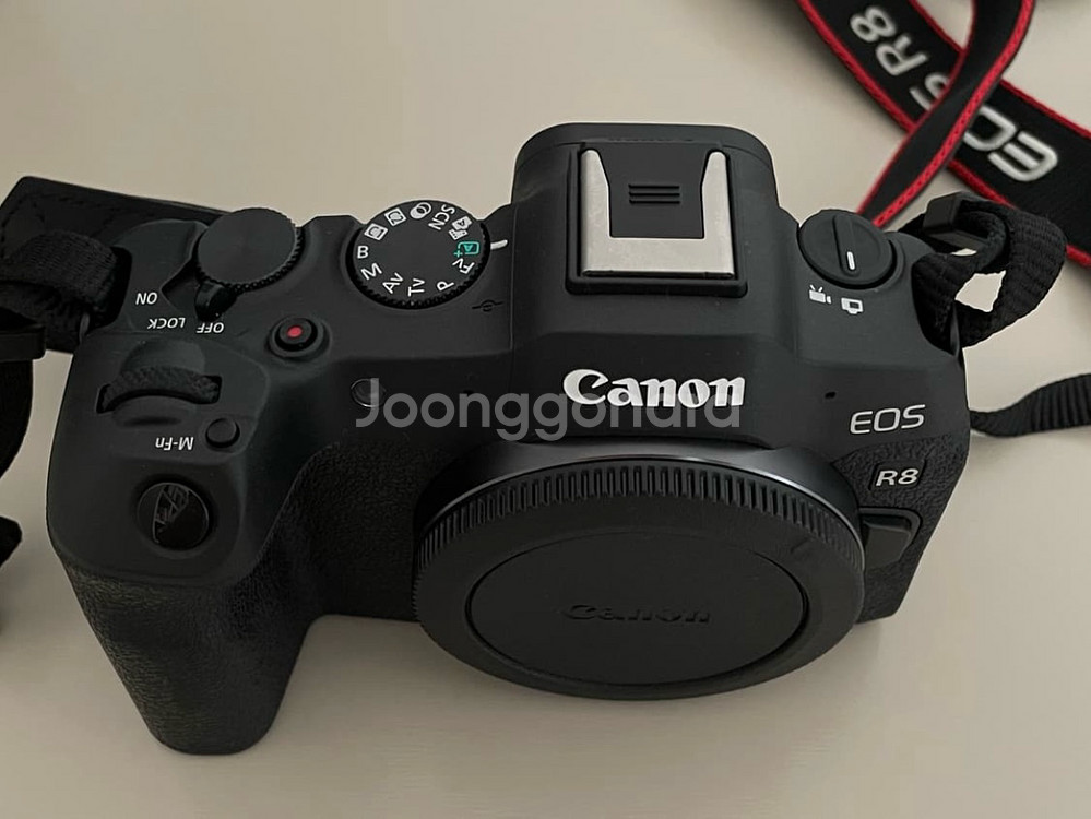 캐논 EOS R8 BODY--0