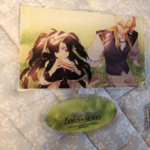 로드오브히어로즈 람다 카르티스 아크릴