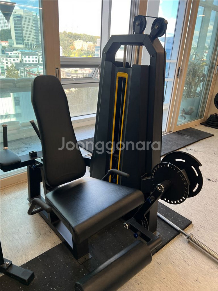 레그익스텐션&컬 머신--1