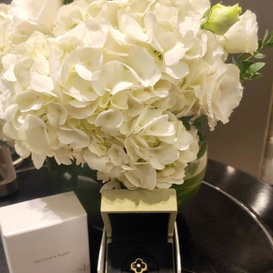 반클리프 오닉스 알함브라링