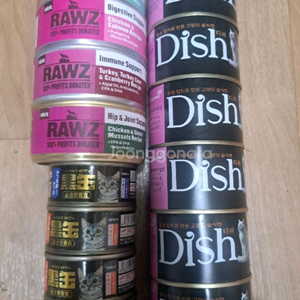 고양이캔 사진일괄