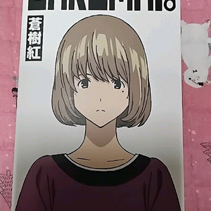 메디콤토이RAH(아오이코우)