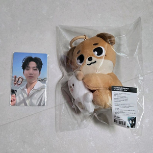 데이식스 데니멀즈 마그넷 돈 도운포카 일괄