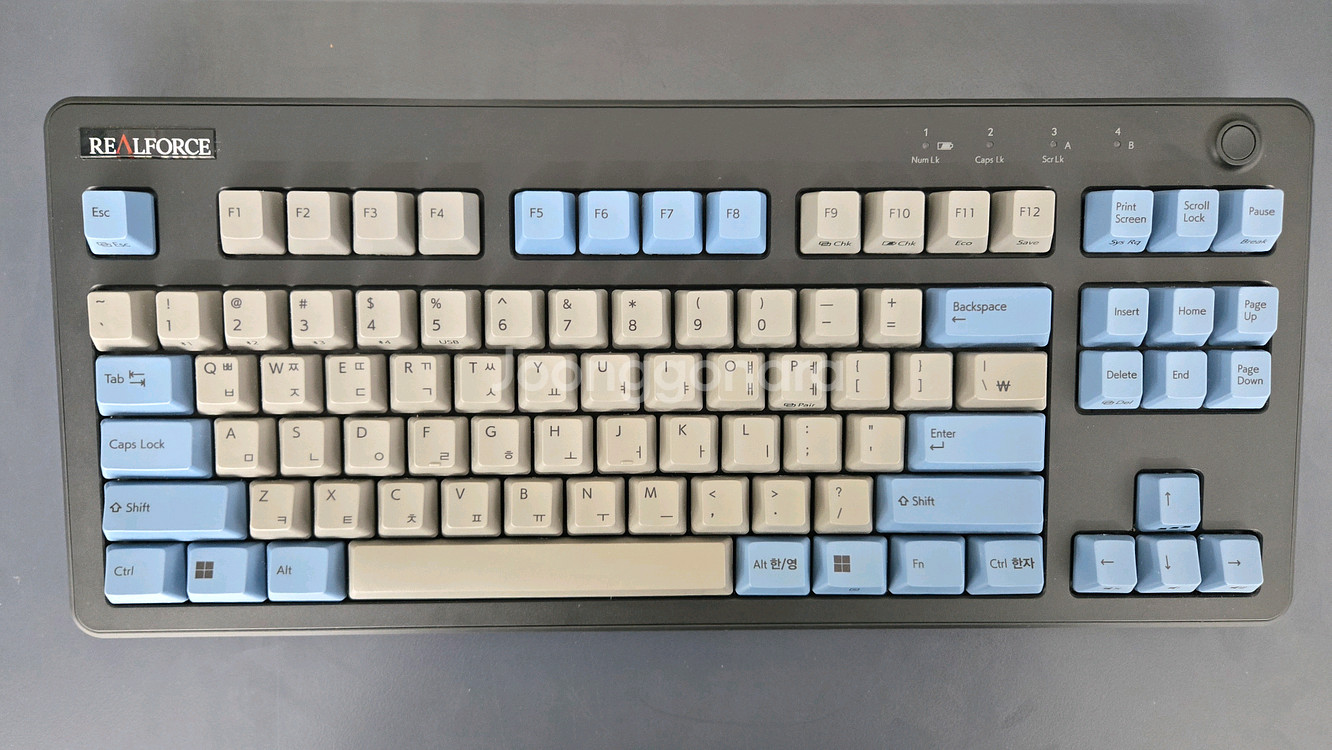 리얼포스 r3 tkl--0