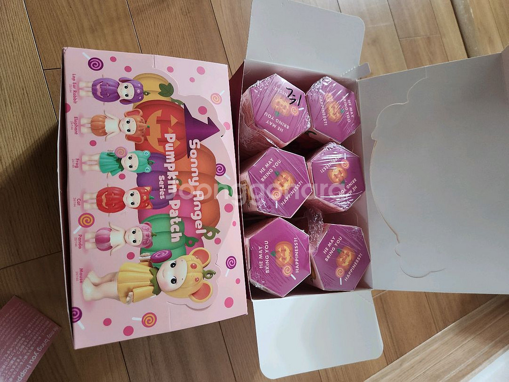 소니엔젤 펌킨 패치 일반 6종 , 개별구매--1