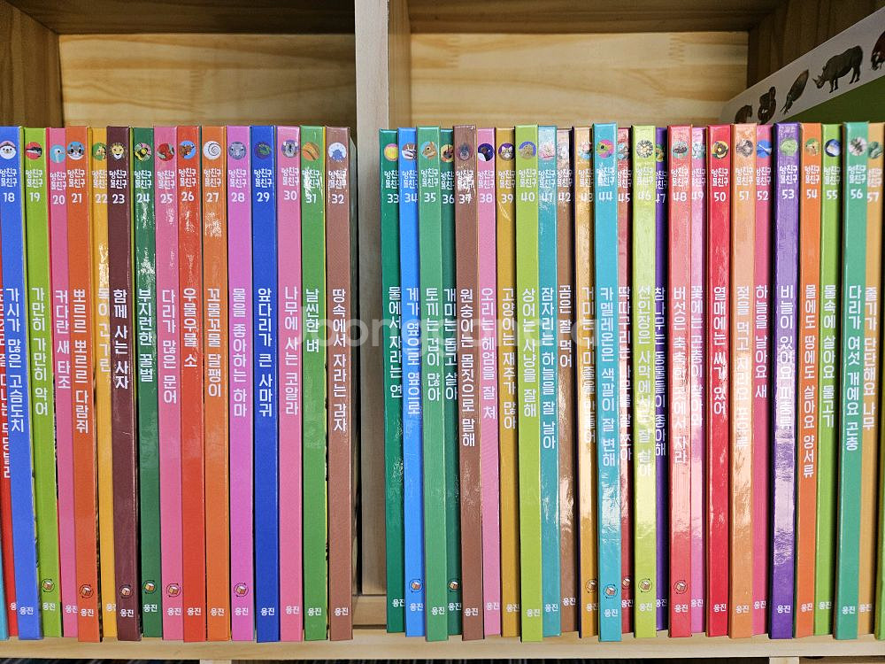 땅친구 물친구:2024년구입(최신개정판). 전구성 특A--0