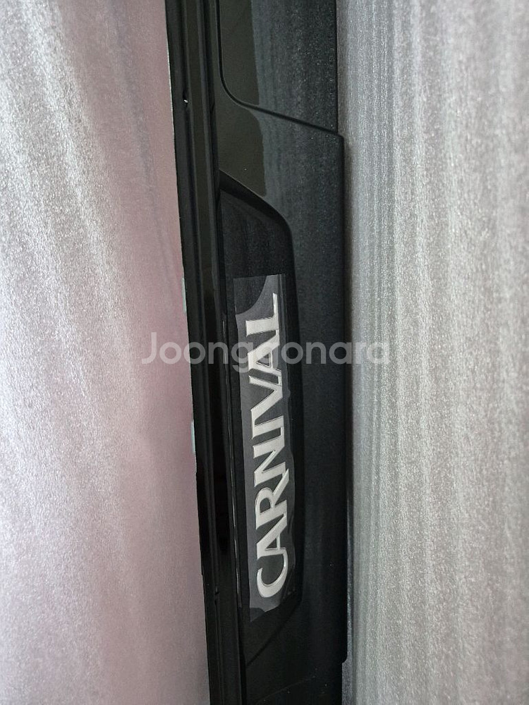 그랜드카니발 사이드스탭(운전석1개)--0