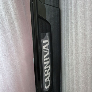 그랜드카니발 사이드스탭(운전석1개)