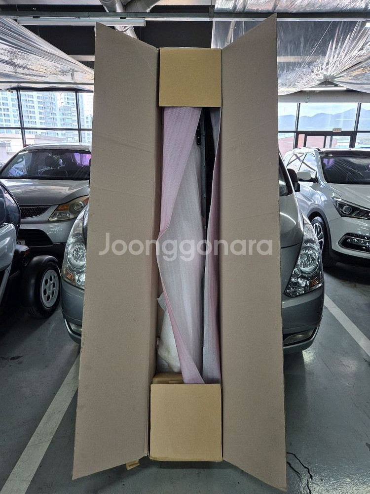 그랜드카니발 사이드스탭(운전석1개)--1