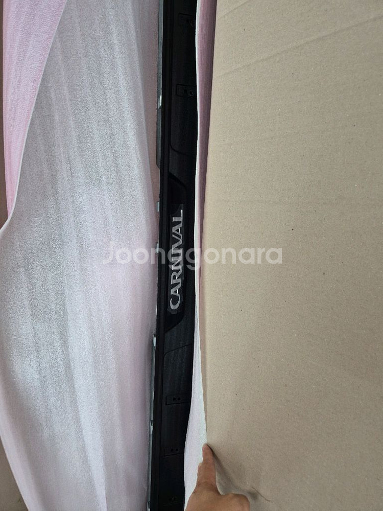 그랜드카니발 사이드스탭(운전석1개)--2