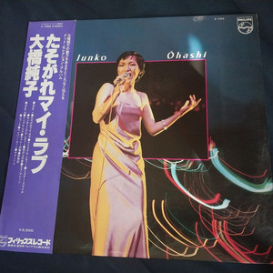 수입 CITY POP 시티팝 엘피 LP