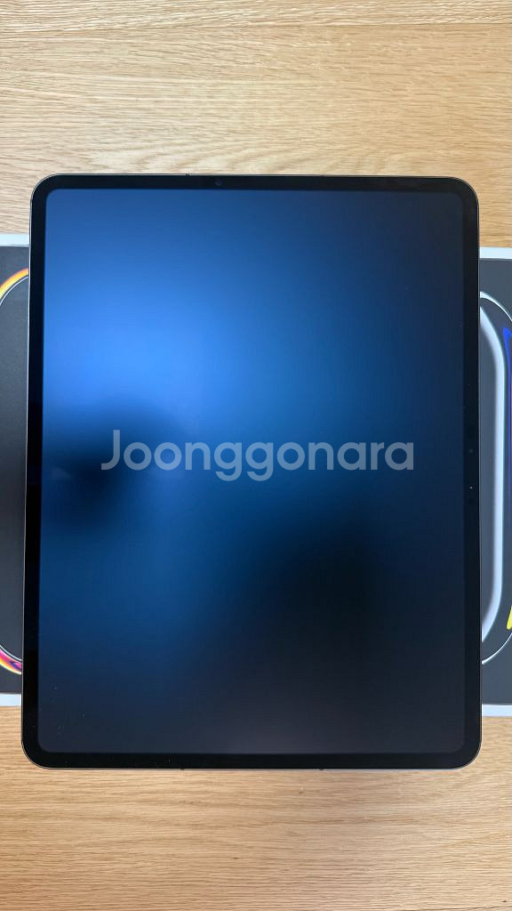 아이패드 프로 13 M4 1테라 셀률러 나노텍스쳐 스페--1