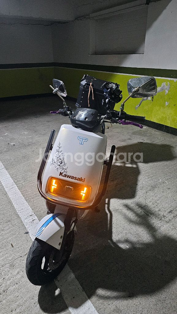 이지베이션 타우러스 ES 듀얼 60V 30ah--3