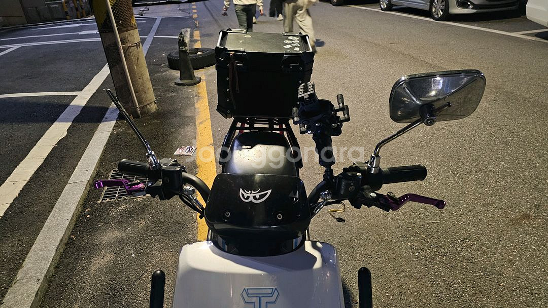 이지베이션 타우러스 ES 듀얼 60V 30ah--2