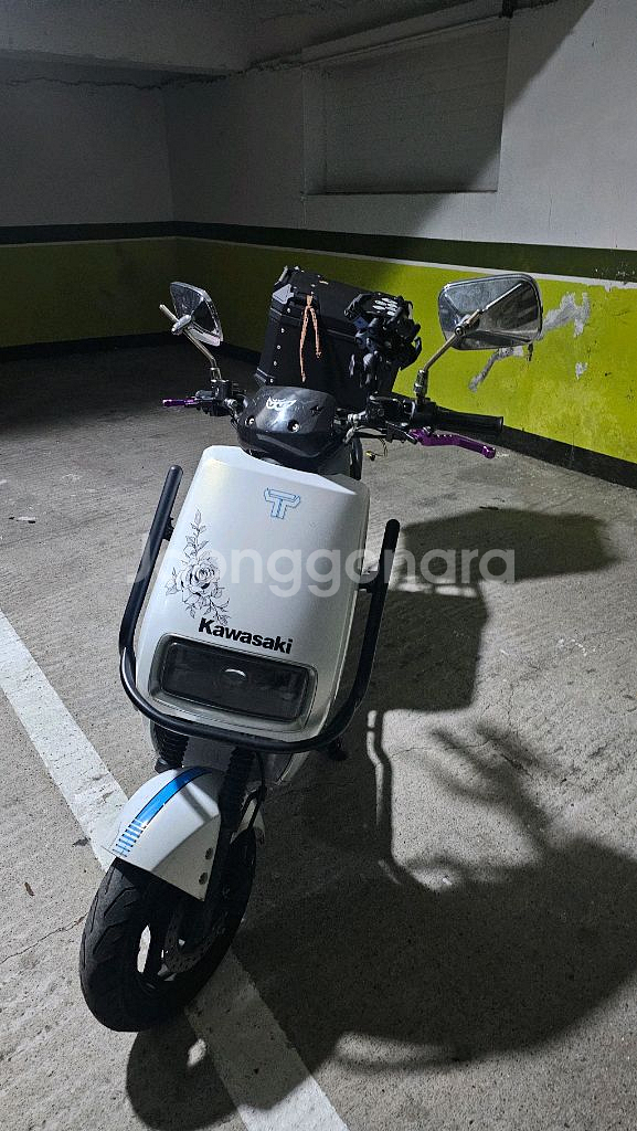 이지베이션 타우러스 ES 듀얼 60V 30ah--4