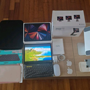 아이패드 프로 5세대 12.9인치 128GB 셀룰러