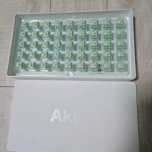 HMX x Akko cilantro 스위치 팝니다.