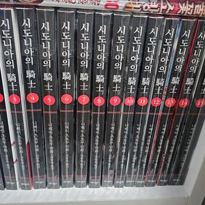 시도니아의 기사