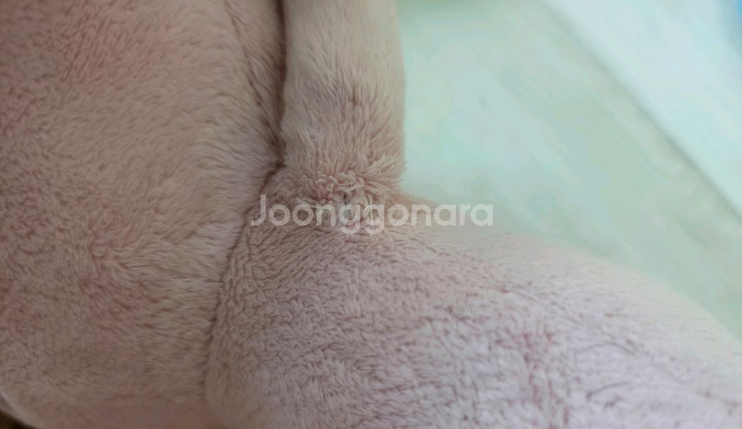 튼튼영어인형 .규리앤프렌즈 인형--6