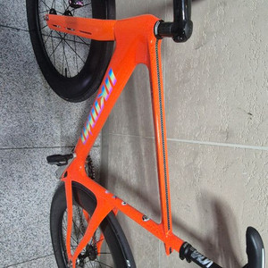 언노운펄스2024전국3대 이미지