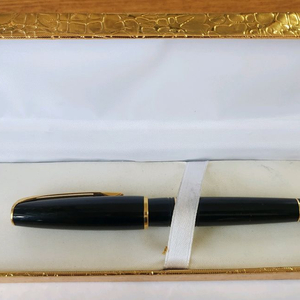 워터맨 18K 금촉 만년필