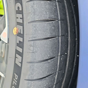 ev6 gt 255 40 21 ps4s 미쉐린 타이어