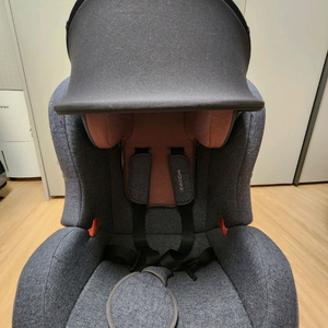 다이치도들러 카시트