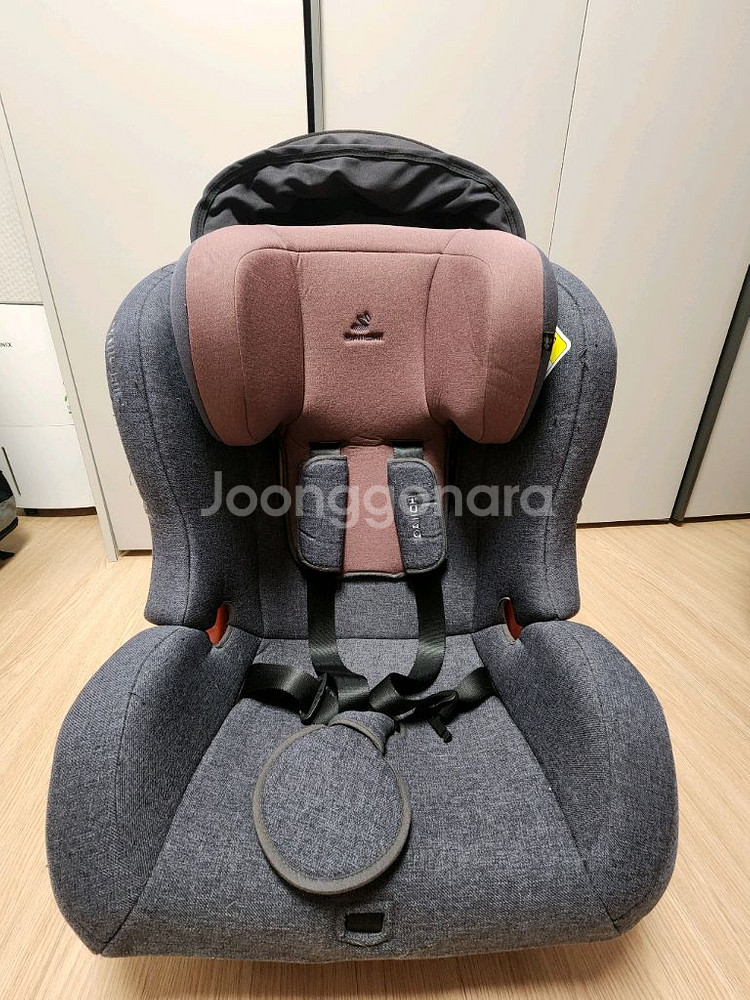 다이치도들러 카시트--1