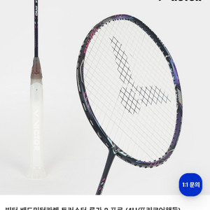 빅터 류가2 프로 신동급(줄매고 난타3분)