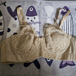 이 베이지 브라 90B