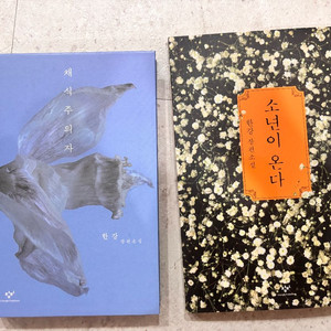 채식주의자, 소년이온다 완전 새상품