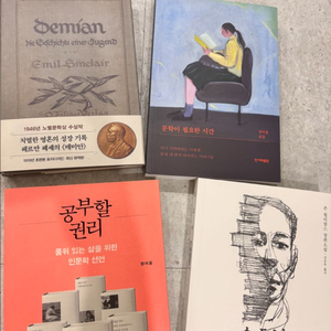 스토너 데미안 문학이 필요한시간 공부할 권리 (정여울)