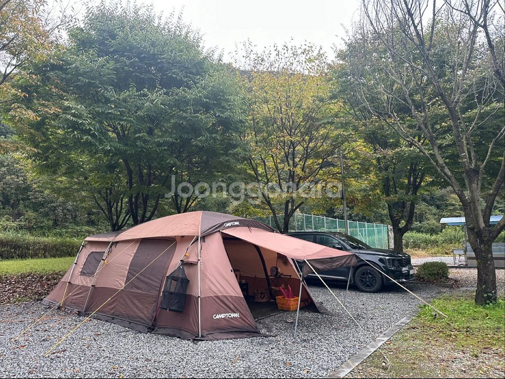 캠프타운 솔로몬 SP 100 5인용 텐트캠프타운 솔로몬--1